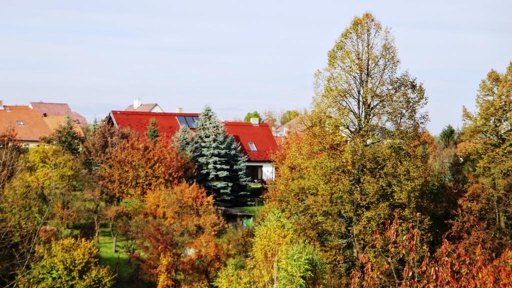 Prazdninovy Dum - Pacl Cervena Recice Villa Rum bild